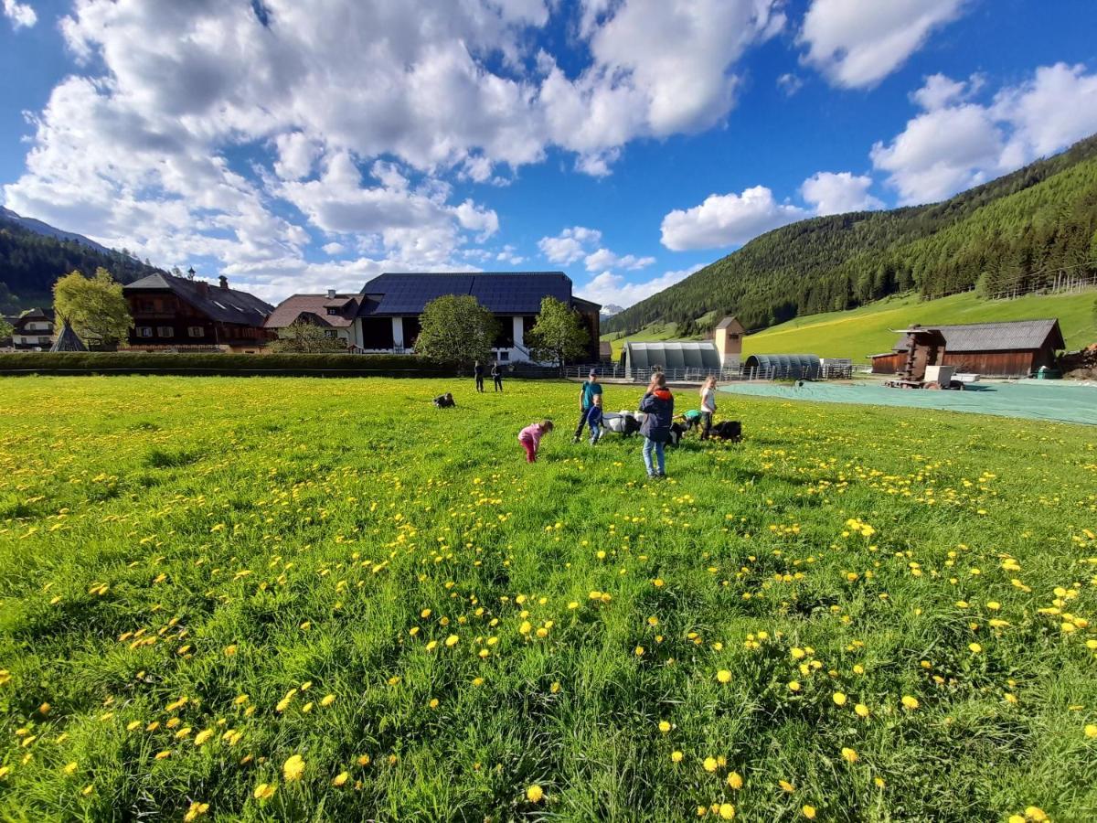 Sonnenchalet Neusess Mauterndorf  Exterior photo